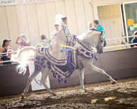 Class 310 - Arabian Mounted Native Costume/ATR