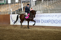 Class 313 - HA Hunter Pl/Championship