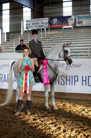 Class 312 - Arabian Hunter Pl/JTR Select