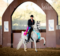 Class 311 - HA Country English Pl Championship
