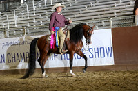 Class 316 - Arabian Western Pl Championship