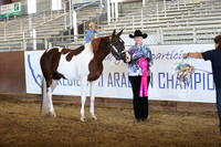 Class 319 - Showmanship/JTH 11-13 Yrs