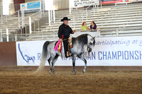 Class 324 - Arabian Western Pl/Geldings