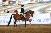 Class 394 - Hunter Seat Equitation/AATR