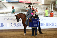 Class 330 - Arabian Ladies Side Saddle/ATR