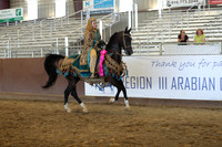 Class 331 - HA Mounted Native Costume Championship