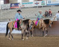Class 333 - HA Western Pl Championship