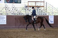 Class 335 - Arabian Hunter Pl/JOTR 14-18 Yrs