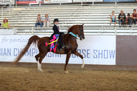 Class 336 - Walk/Trot Saddle Seat Equitation/Riders 10 & Under