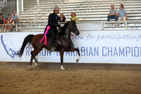 Class 338 - Arabian Country English Pl/Jr Horse 5 & Under