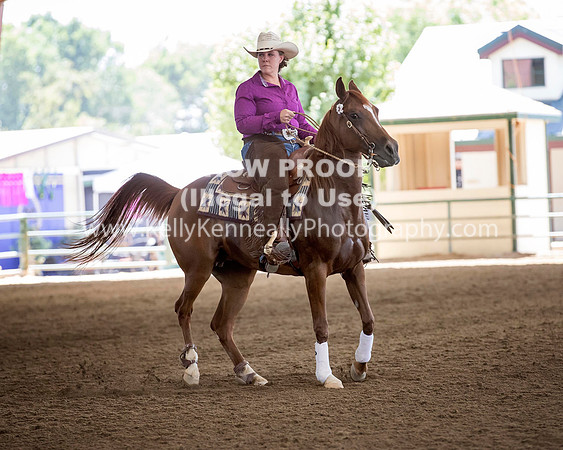 R317_Class306_309Reining_2289 copy