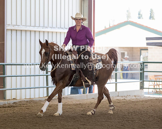 R317_Class306_309Reining_2299 copy