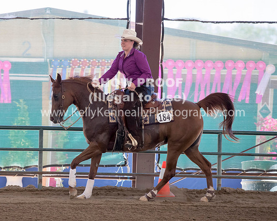 R317_Class306_309Reining_2301 copy