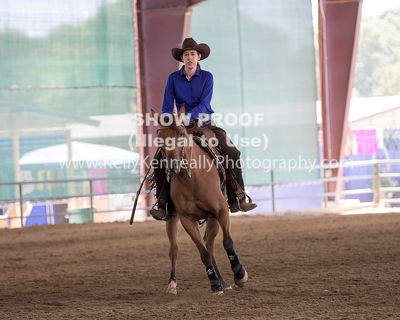 R317_Class306_309Reining_2311 copy