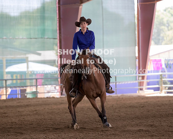 R317_Class306_309Reining_2316 copy