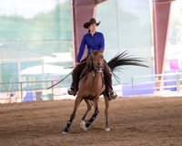 R317_Class306_309Reining_2320 copy
