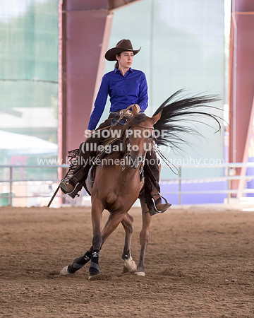 R317_Class306_309Reining_2324 copy
