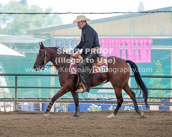 R317_Class306_309Reining_2349 copy