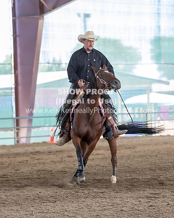 R317_Class306_309Reining_2355 copy