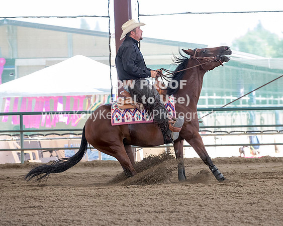 R317_Class306_309Reining_2370 copy