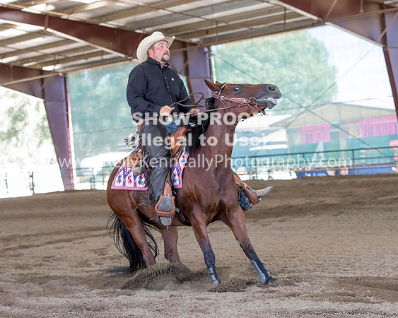 R317_Class306_309Reining_2379 copy