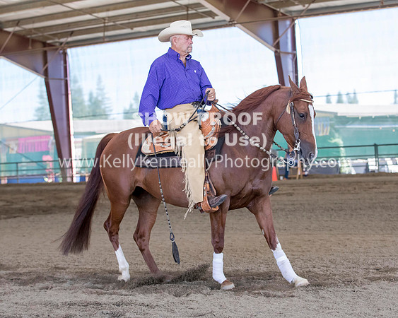 R317_Class306_309Reining_2407 copy