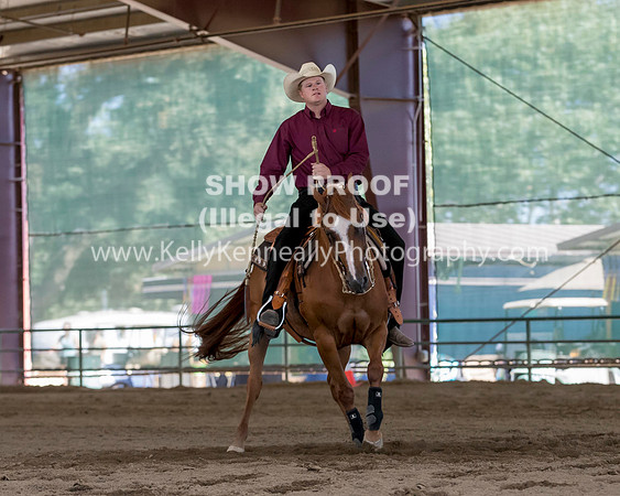 R317_Class306_309Reining_2461 copy