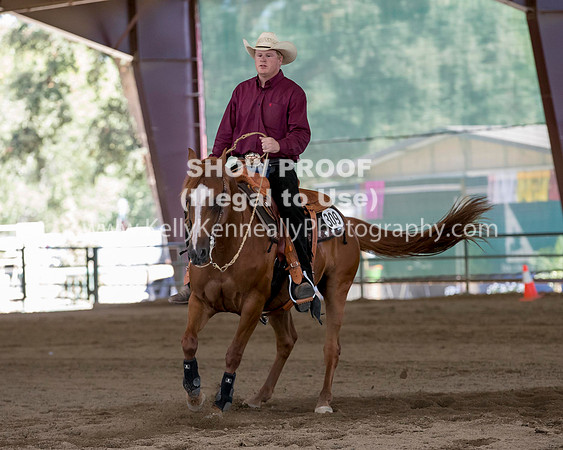 R317_Class306_309Reining_2467 copy