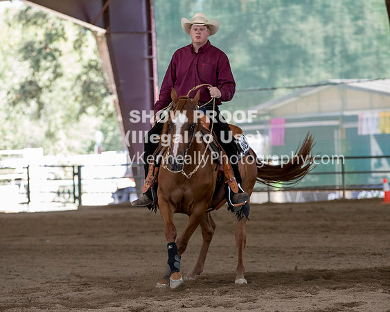 R317_Class306_309Reining_2468 copy