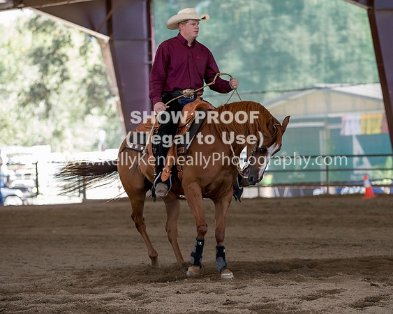 R317_Class306_309Reining_2471 copy