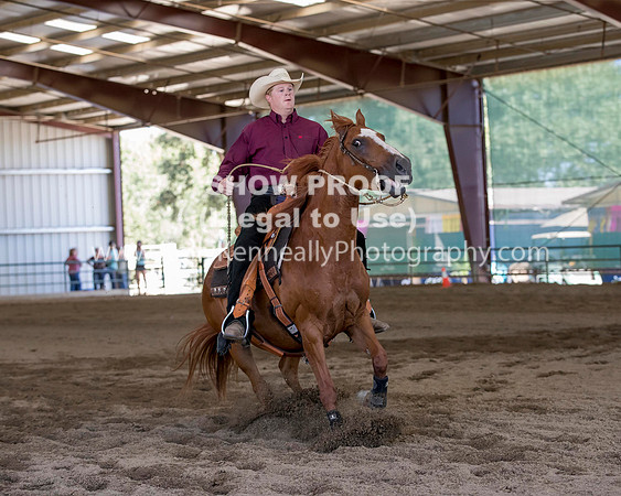 R317_Class306_309Reining_2474 copy