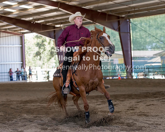 R317_Class306_309Reining_2475 copy