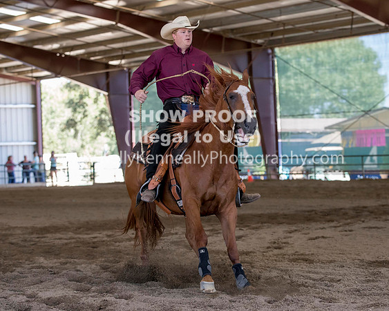 R317_Class306_309Reining_2477 copy