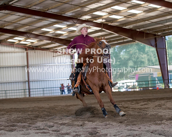 R317_Class306_309Reining_2482 copy