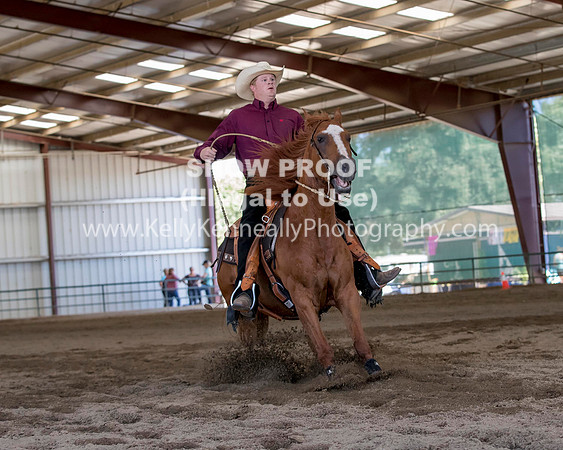R317_Class306_309Reining_2483 copy