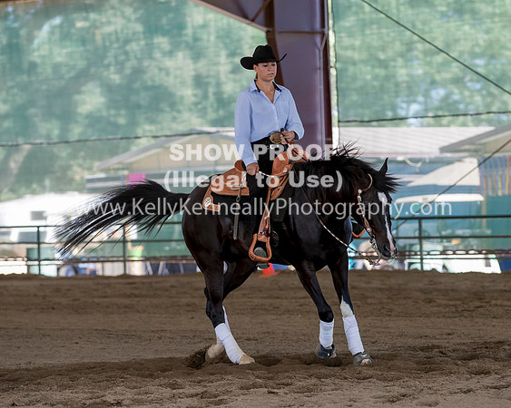 R317_Class306_309Reining_2490 copy