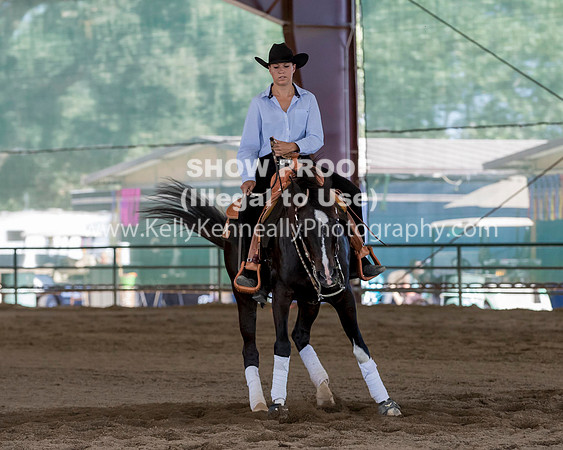R317_Class306_309Reining_2492 copy