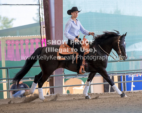 R317_Class306_309Reining_2501 copy