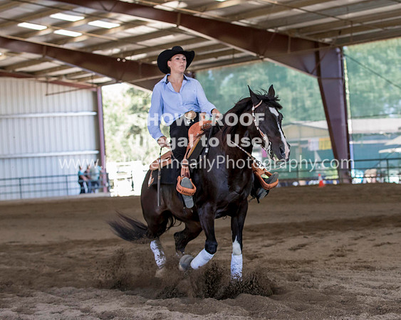 R317_Class306_309Reining_2504 copy