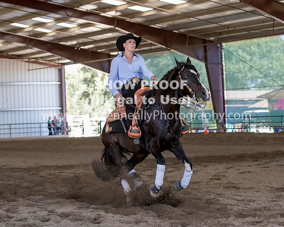 R317_Class306_309Reining_2505 copy