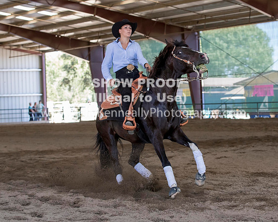 R317_Class306_309Reining_2506 copy