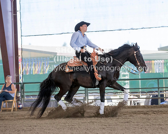 R317_Class306_309Reining_2509 copy
