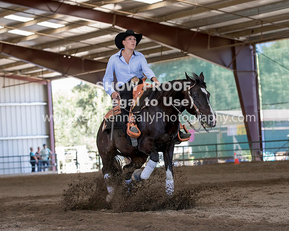 R317_Class306_309Reining_2515 copy