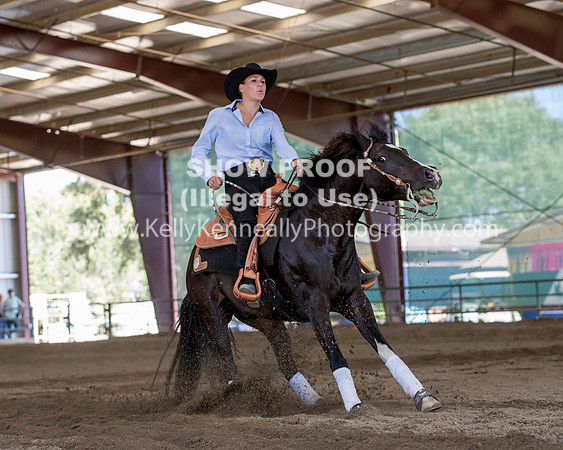 R317_Class306_309Reining_2518 copy