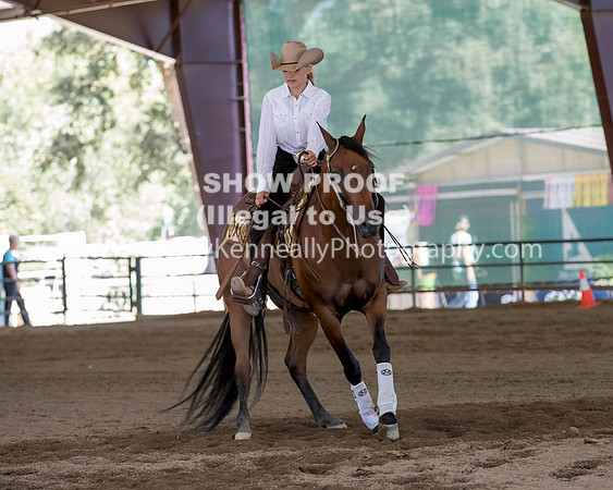R317_Class306_309Reining_2521 copy