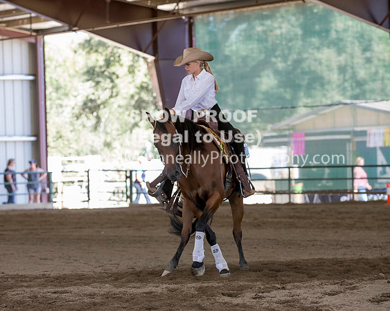 R317_Class306_309Reining_2526 copy