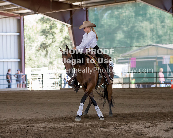 R317_Class306_309Reining_2527 copy