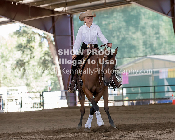 R317_Class306_309Reining_2530 copy