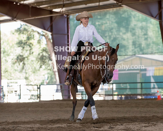 R317_Class306_309Reining_2531 copy