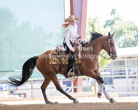 R317_Class306_309Reining_2540 copy